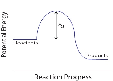 Potential energy diagram for a hypothetical reaction. https://rmit.pressbooks.pub/rmitchemistrybridgingcourse/chapter/7-5-rates-of-reaction-2/